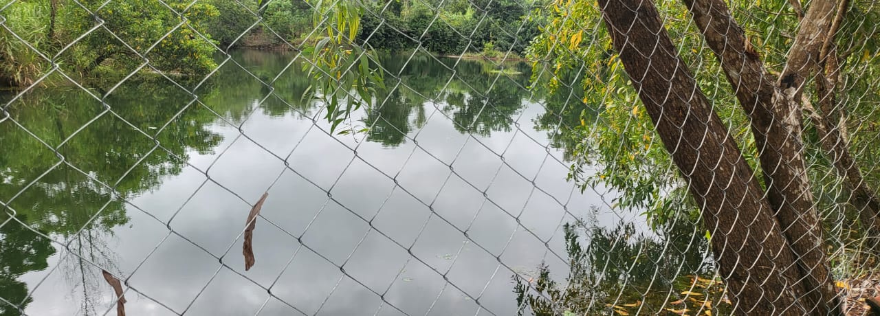 TRAVAUX DE CLÖTURE DU SITE DE PISCULTURE